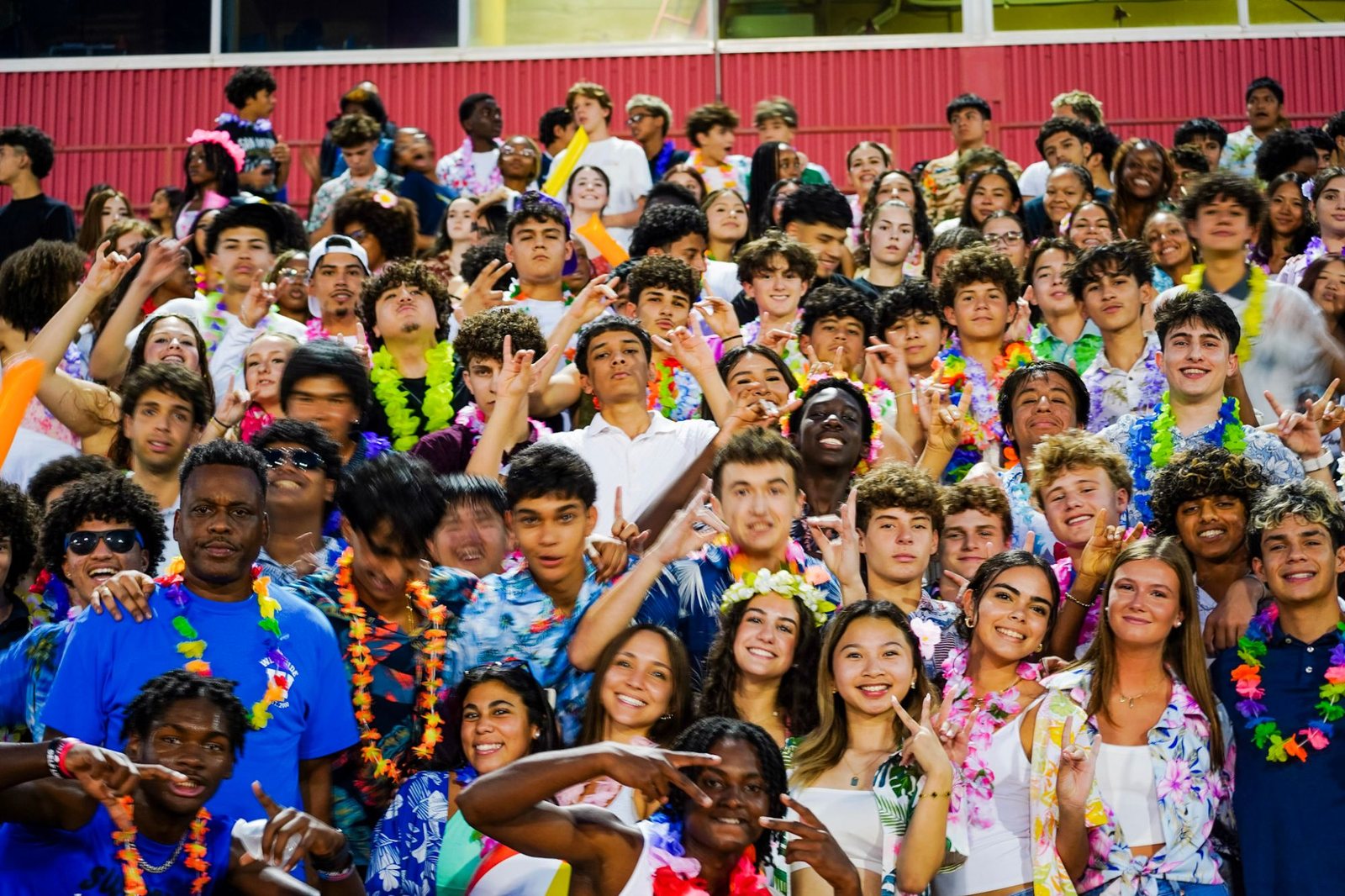 Hawaiian Night